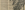 Bamboo beige RAL1019